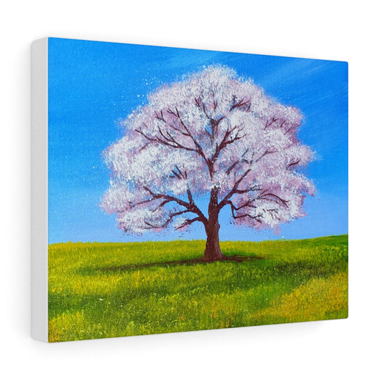 Stretched Canvas Print - "Cherry Blossom Tree"