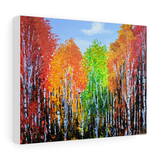 Stretched Canvas Print - "Maple Birch Forest"