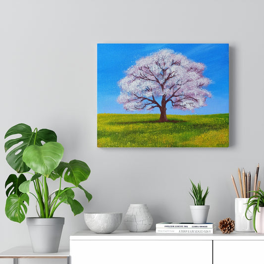 Stretched Canvas Print - "Cherry Blossom Tree"